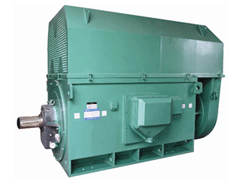1400KWY系列6KV高压电机